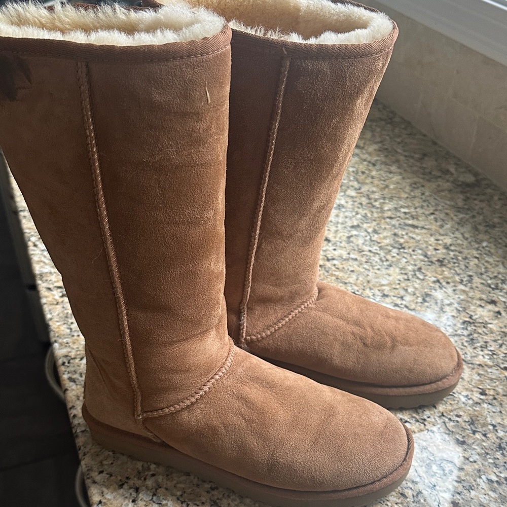 UGG Chestnut Suede Boots